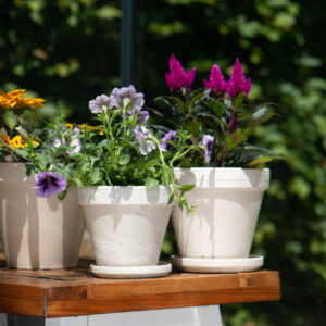 White Terracotta