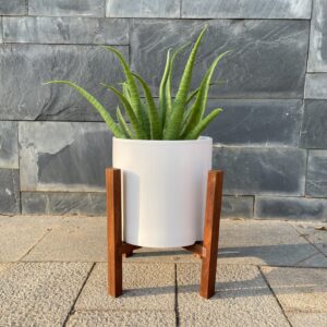 Indoor Accessories