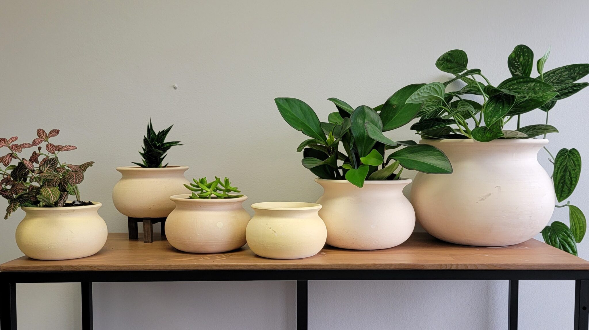 Washington Pottery Company