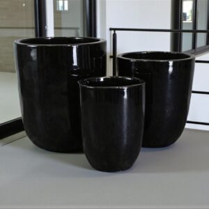 Pacific Planter - S/3