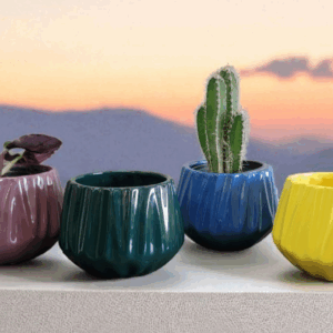 Cecilia Planter - 5" - 4 Pack