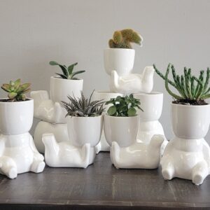 Plant People - 3.5"D - 8 Pack