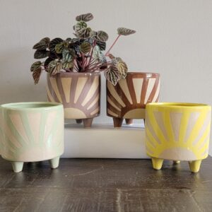 Starburst Planter - 5" - 4 Pack