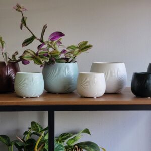 Fronda Planter - S/2 - 4 Pack