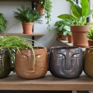 Face Pot - 6" - 8 Pack