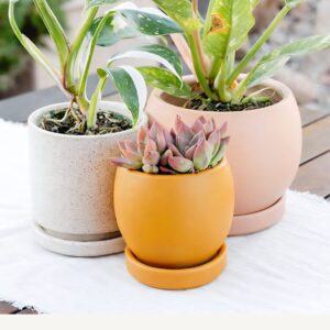 Momma Pots Bolle w/ Saucer - 4.25" - 4 Pack