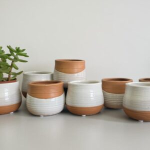 Haze Planter - 4" - 16 Pack