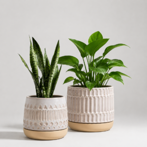 Saloma Planter w/Saucer - 4 Pack
