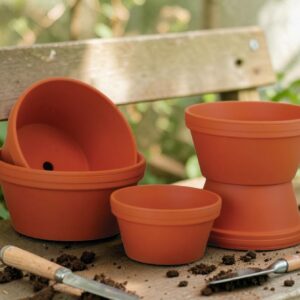 Seed Pan