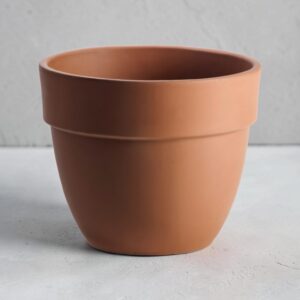 Patavium Pot