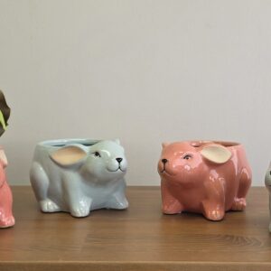 Bunny - 4" - 8 Pack