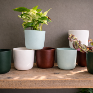 Element Pot -  Coastal Asst - 5" - 8 Pack