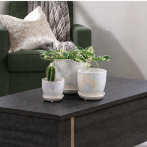 Bell Planter with Attached Saucer