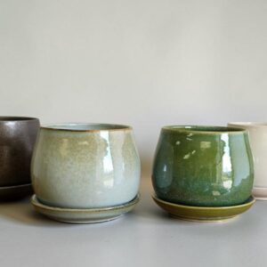 5" Lopez Planter w/ Attached Saucer - 4 Pack