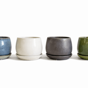 7" Lopez Planter w/ Attached Saucer - 4 Pack