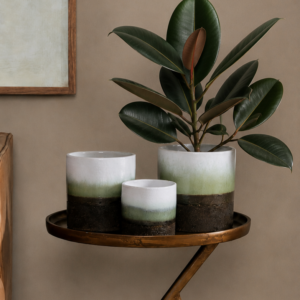 Essential Cylinder - Set of 3