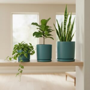 Momma Pots Cylinder w/ Saucer - S/3: 8"/10"/12"